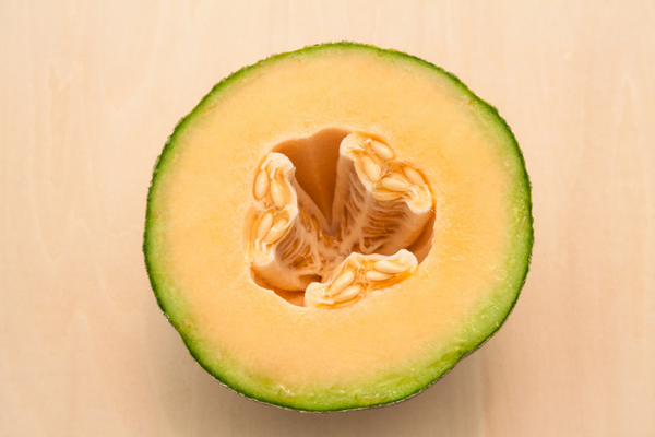 Cantaloupes for dogs