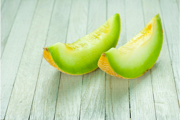 Honeydew for dogs