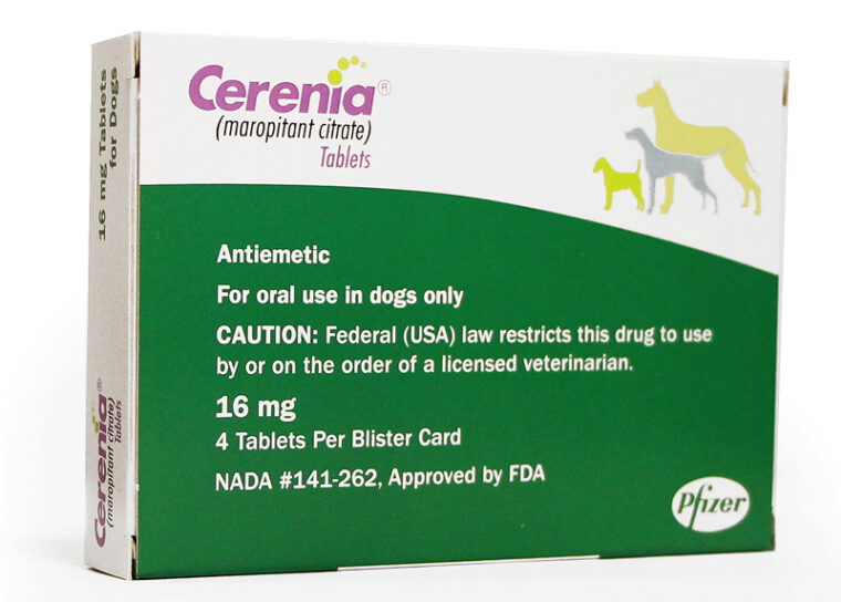 cerenia-dog-feature
