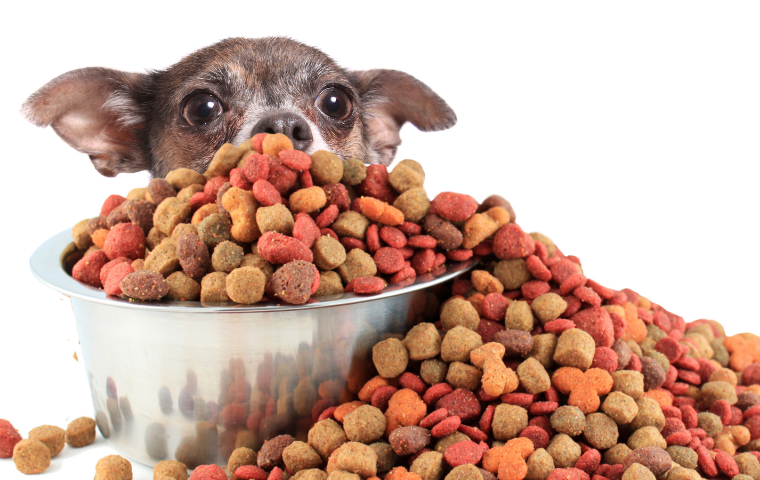 Exclusive dog food feature
