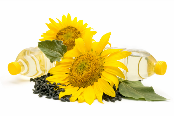 Can dogs have sunflower oil