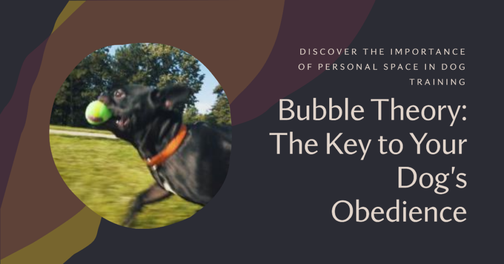 bubble-theory-personal-space