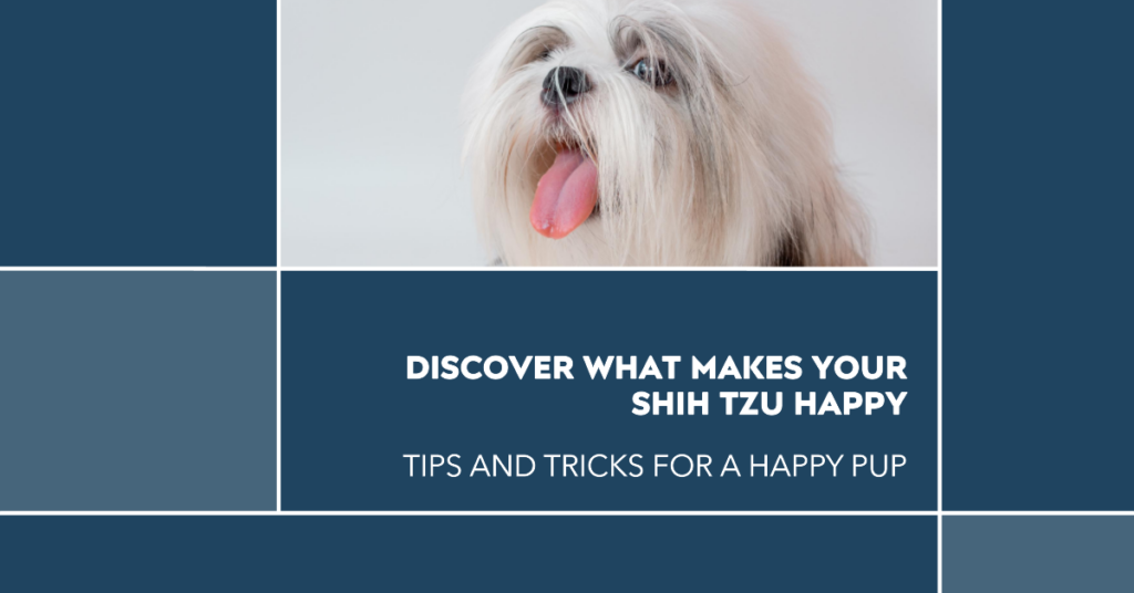 what makes shih tzus happy