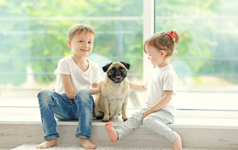 are pugs good with kids
